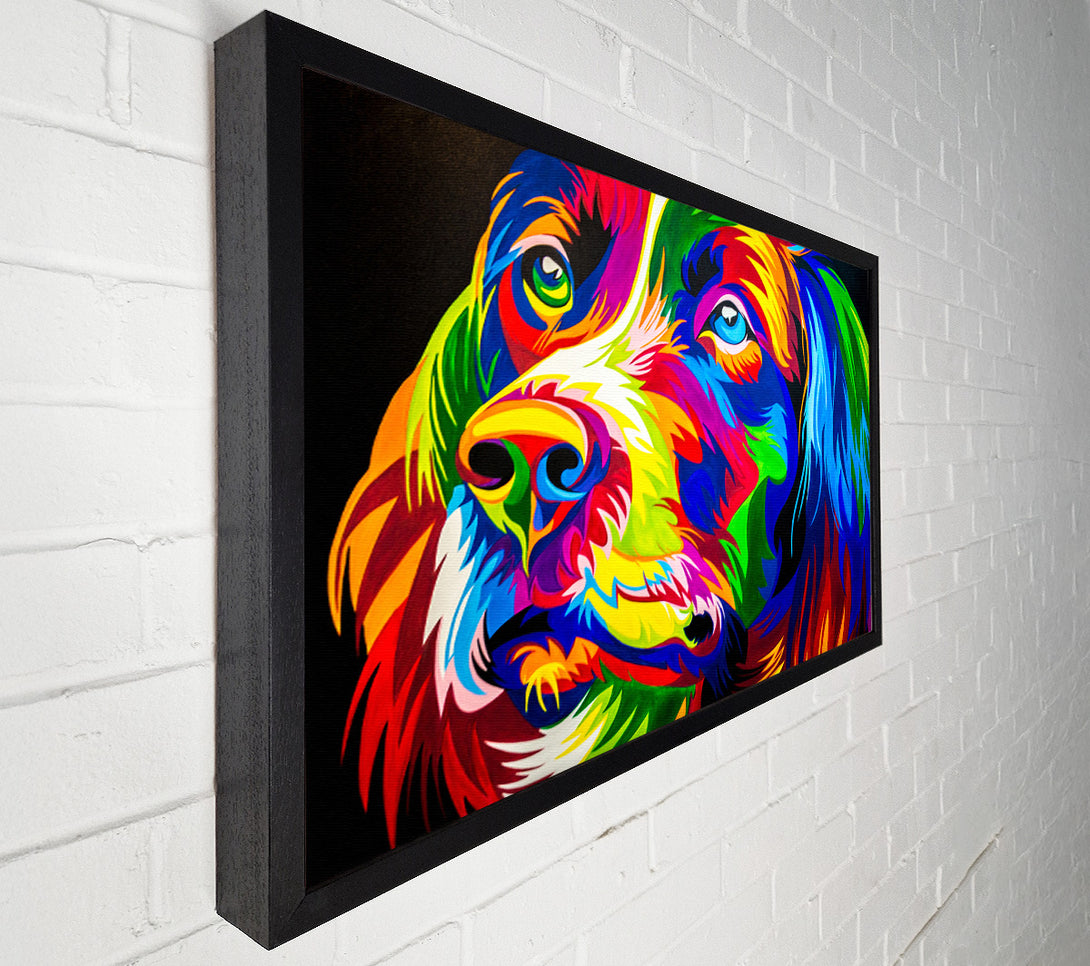  A Canvas Print of The Stunning Colourful Dog Canvas Wall Art