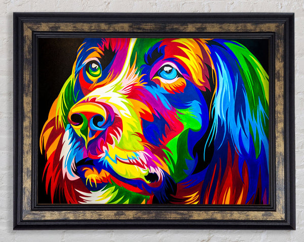 The Stunning Colourful Dog Framed Print