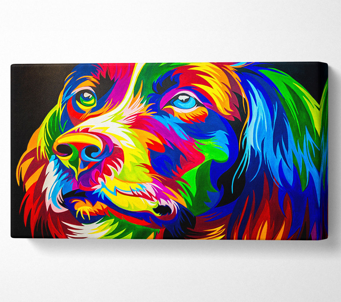  A Canvas Print of The Stunning Colourful Dog Canvas Wall Art