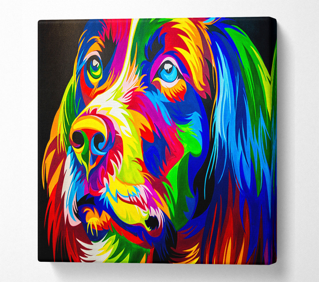  A Canvas Print of The Stunning Colourful Dog Canvas Wall Art