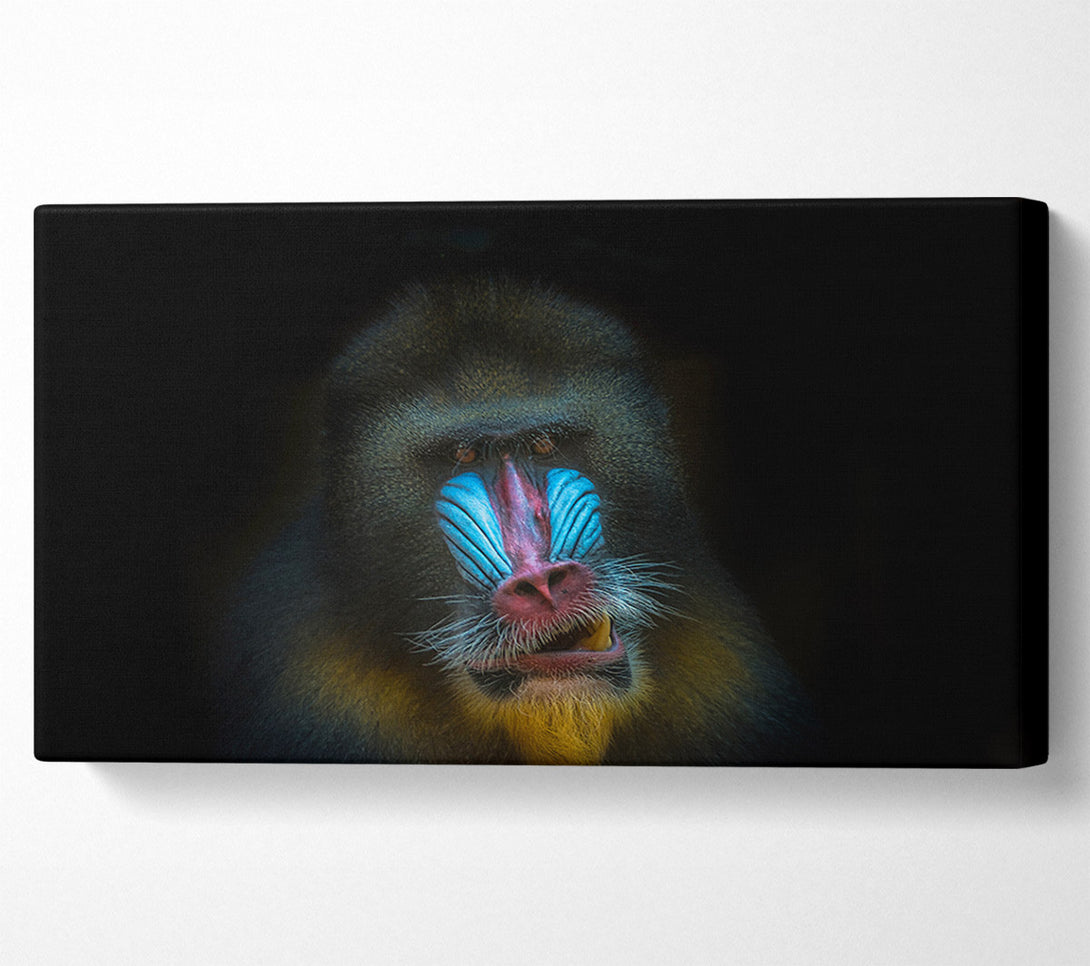 A Canvas Print of Mandrill Anger Canvas Print