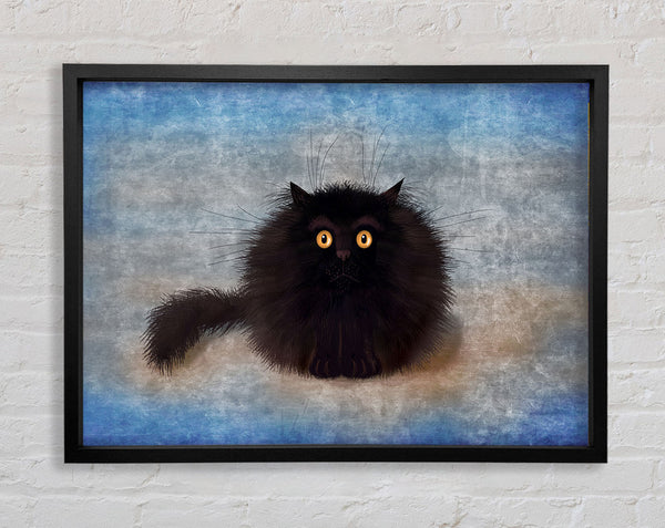 Schwarze, flauschige Katze