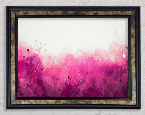 Pink Blushes Of Colour Framed Print