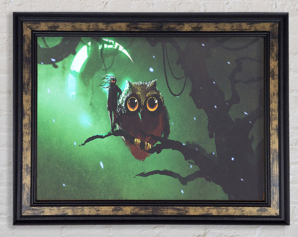 The Visit From The Owl Framed Print