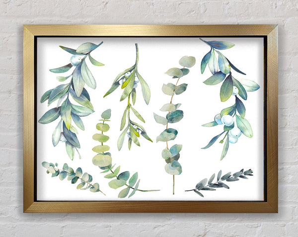 Green Foliage Of Nature Framed Print