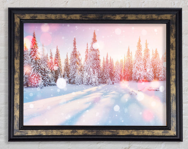 Snow Storm Sunlight Framed Print