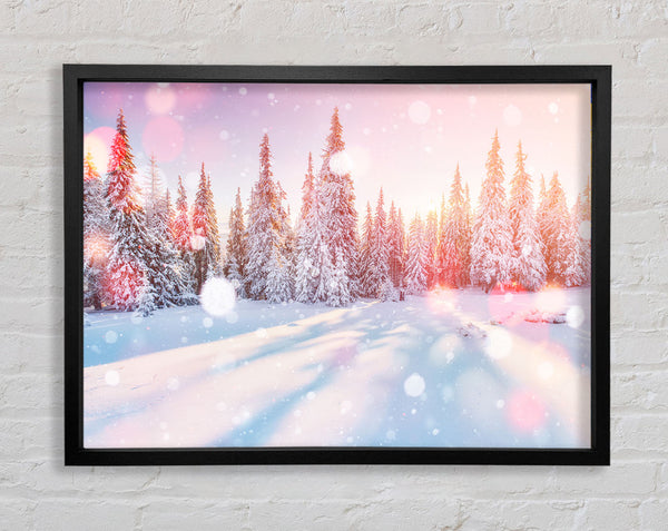 Snow Storm Sunlight Framed Print