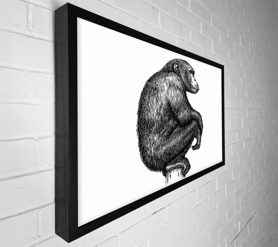  A Canvas Print of Chimpanzee Sitting Canvas Wall Art