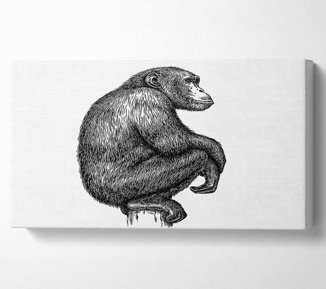  A Canvas Print of Chimpanzee Sitting Canvas Wall Art