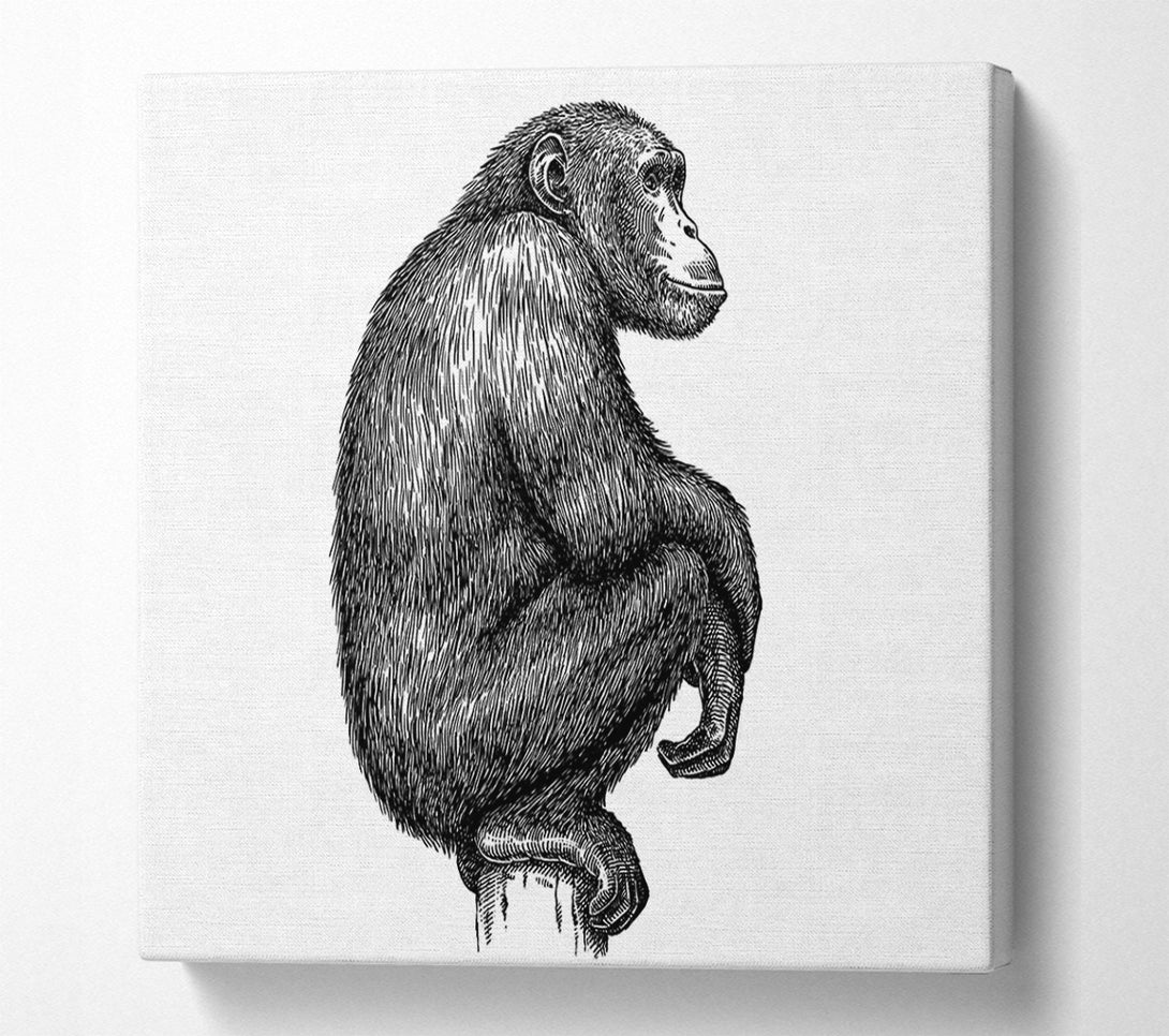  A Canvas Print of Chimpanzee Sitting Canvas Wall Art