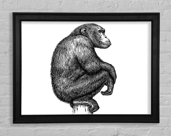 Chimpanzee Sitting Framed Print