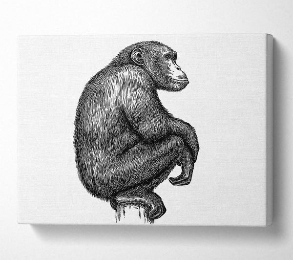  A Canvas Print of Chimpanzee Sitting Canvas Wall Art
