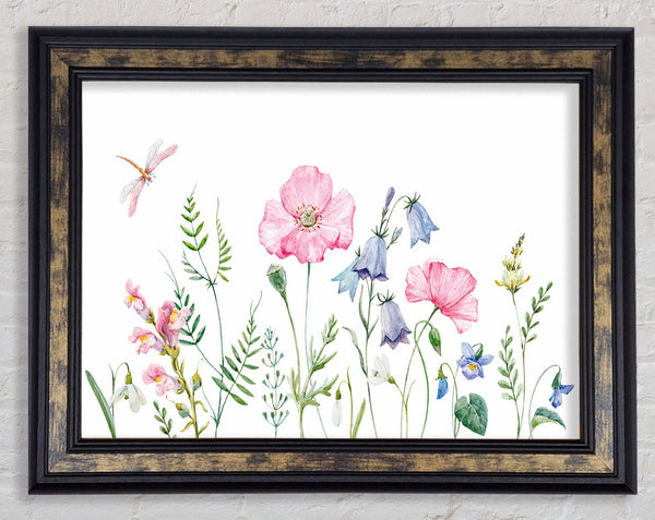British Flowers Framed Print