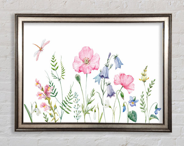 British Flowers Framed Print