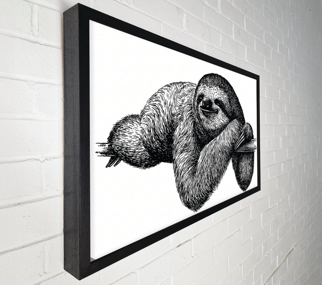  A Canvas Print of Sloth Chilling On The Branch Canvas Art