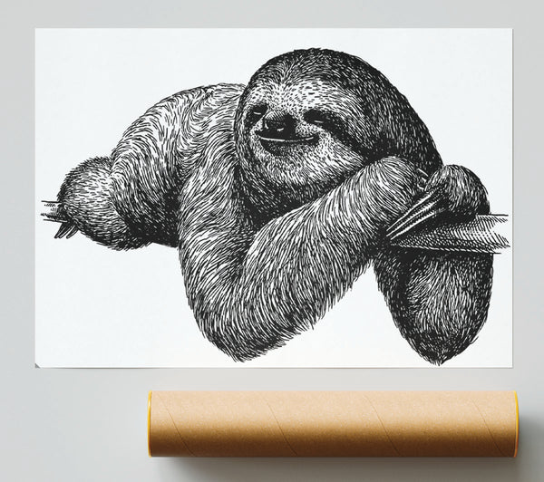 Sloth Chilling On The Branch Poster