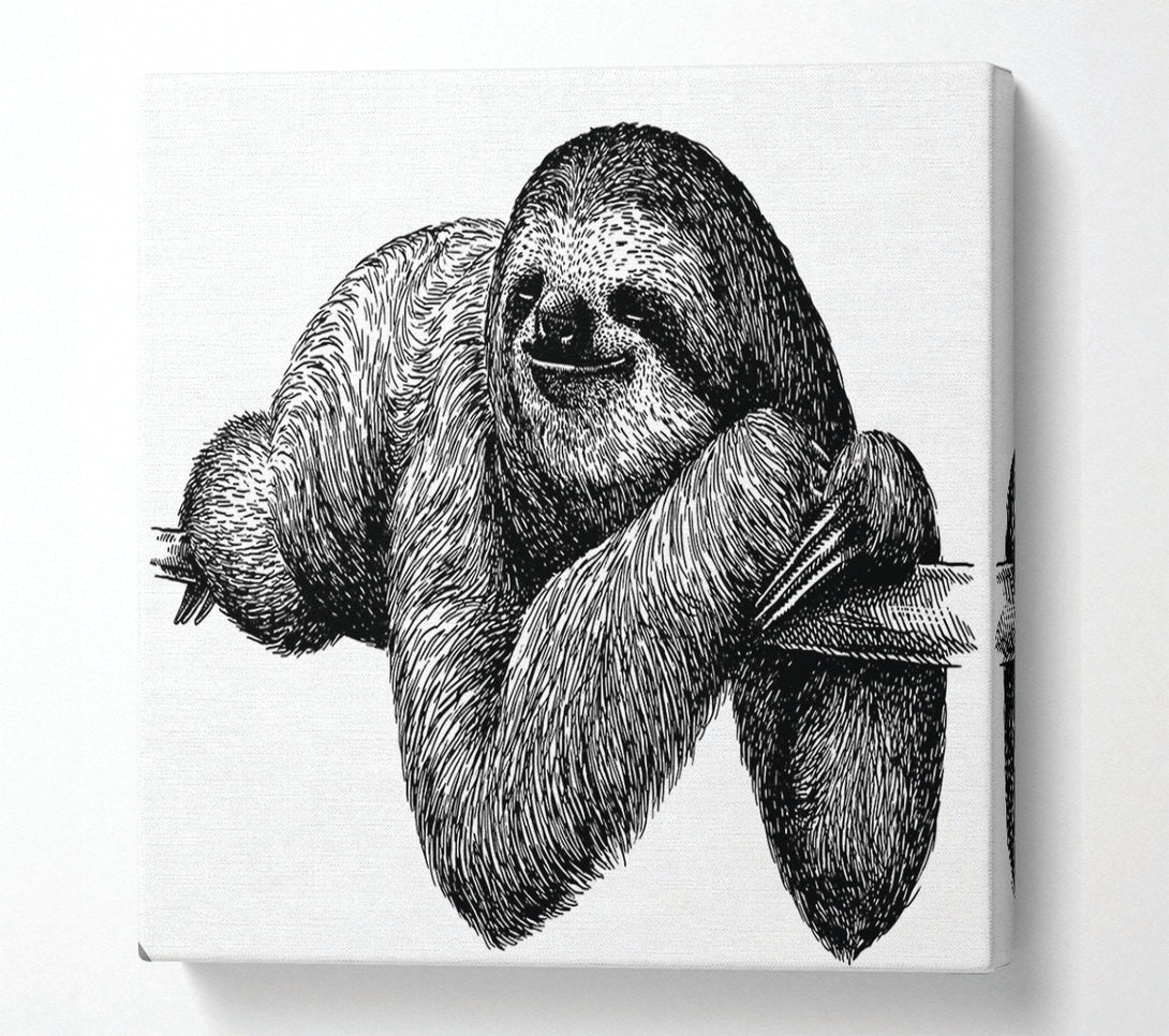  A Canvas Print of Sloth Chilling On The Branch Canvas Art
