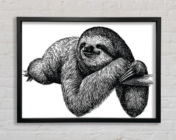 Sloth Chilling On The Branch Framed Print