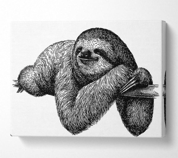  A Canvas Print of Sloth Chilling On The Branch Canvas Art