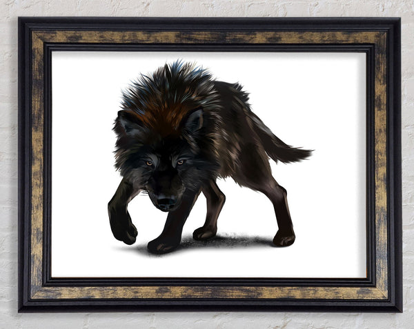 The Angry Wolf Framed Print