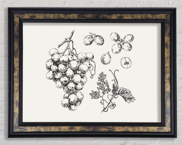 Bounty Harvest Framed Print