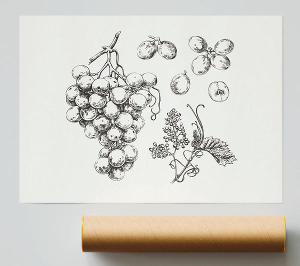Bounty Harvest Giclee Print
