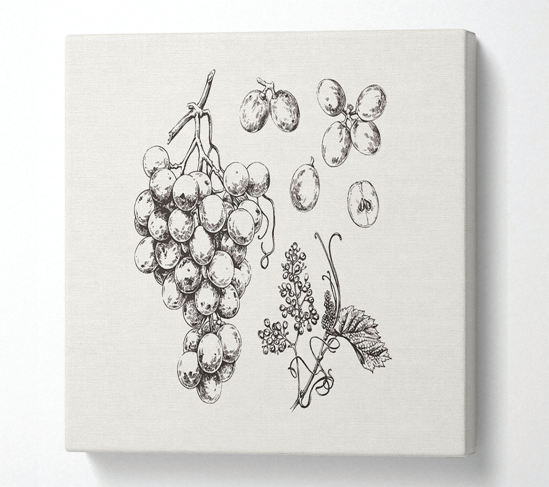 A Canvas Print of Bounty Harvest Canvas Print