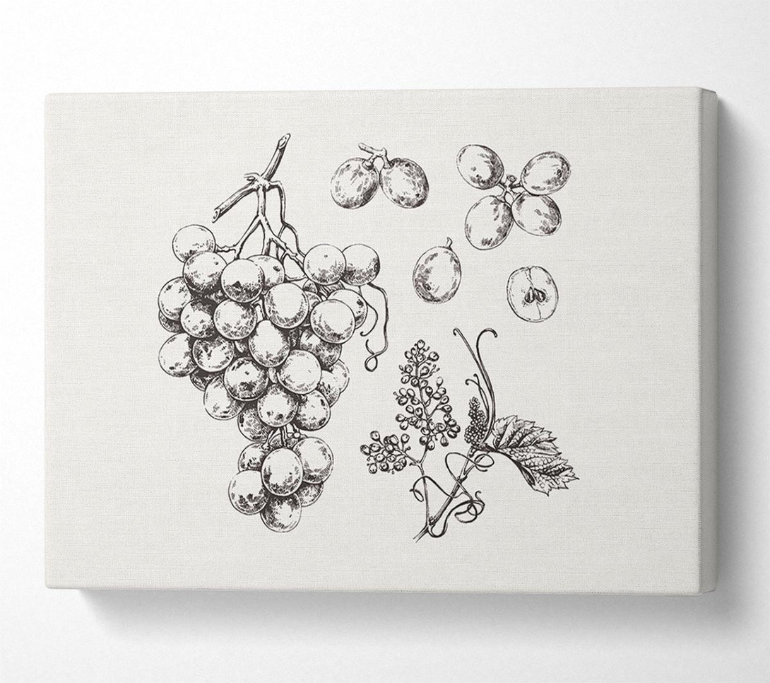  A Canvas Print of Bounty Harvest Canvas Print
