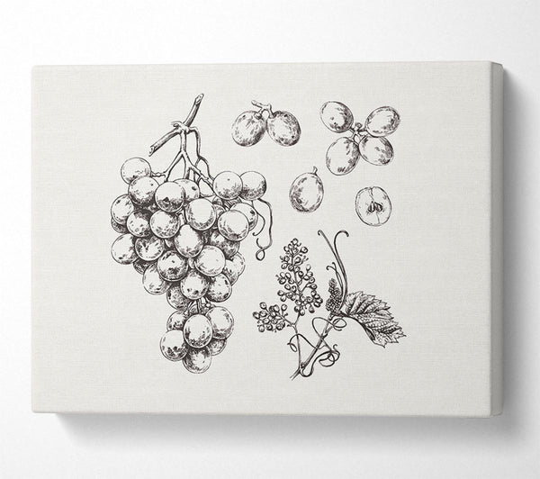  A Canvas Print of Bounty Harvest Canvas Print