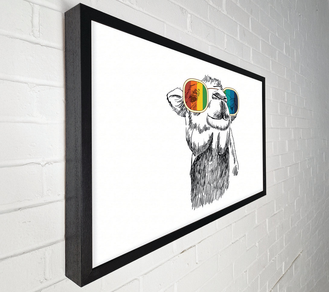  A Canvas Print of Colourful Glasses Camel Canvas Art