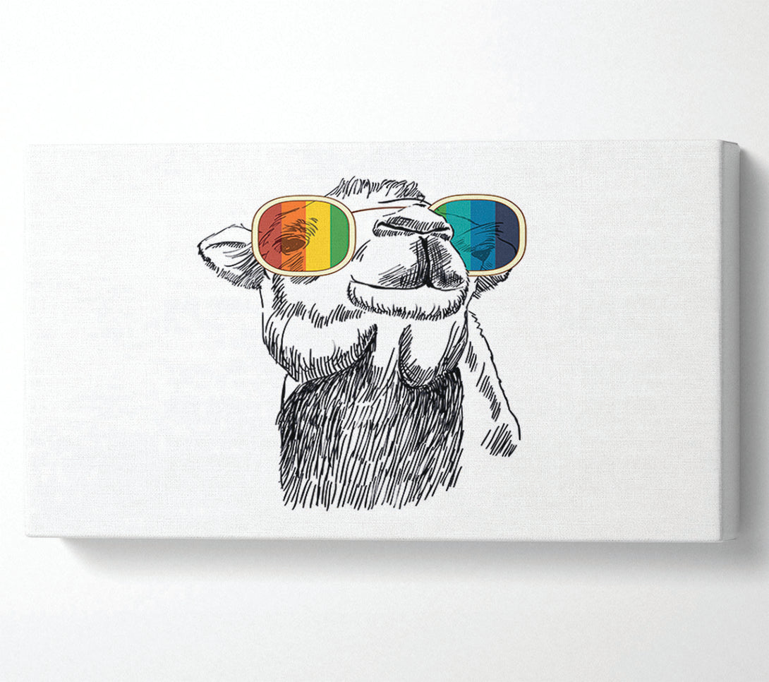  A Canvas Print of Colourful Glasses Camel Canvas Art