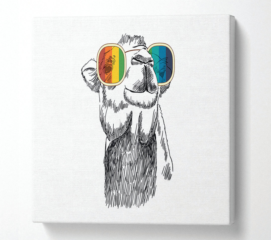  A Canvas Print of Colourful Glasses Camel Canvas Art