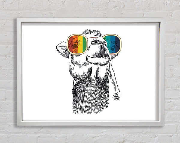Colourful Glasses Camel Framed Print