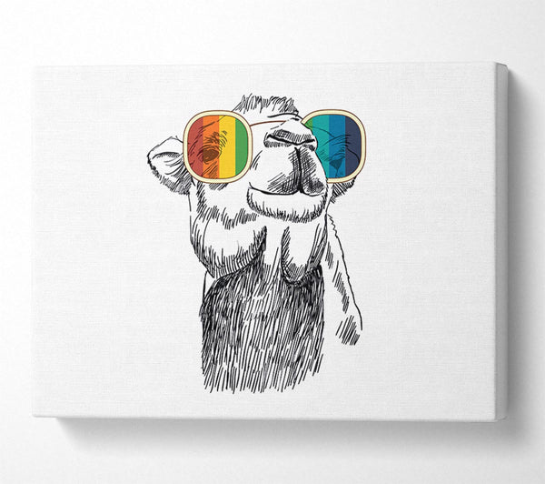  A Canvas Print of Colourful Glasses Camel Canvas Art