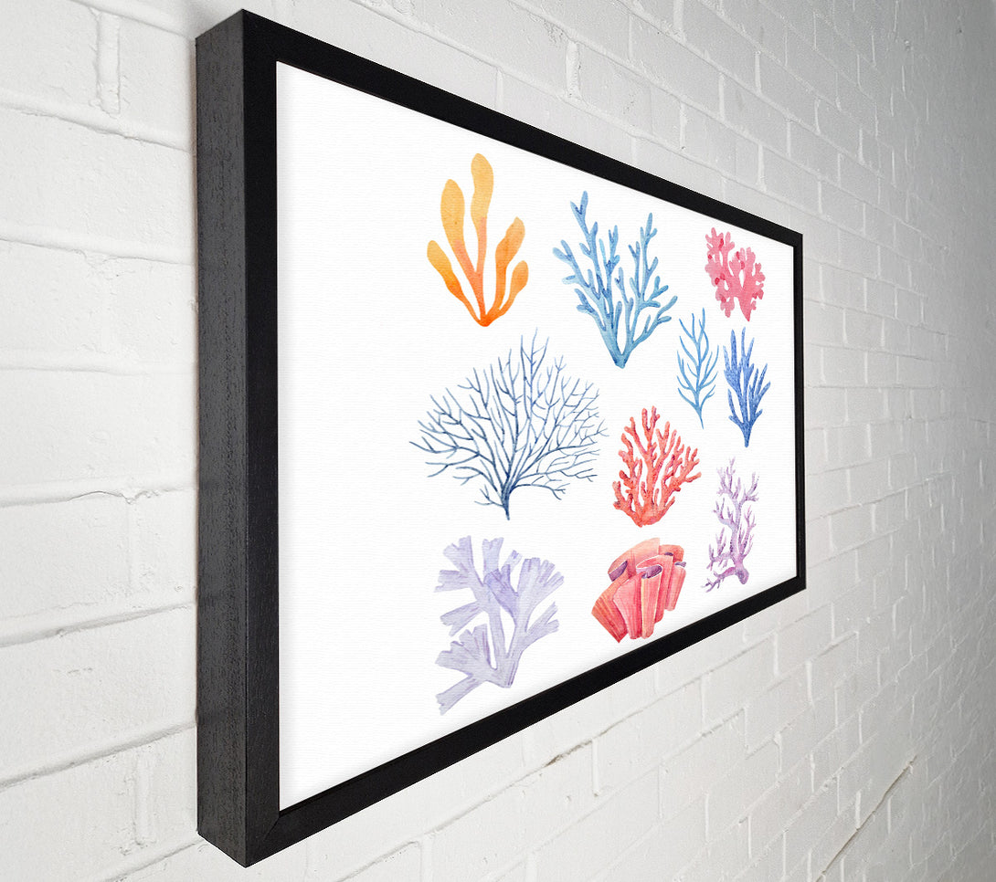  A Canvas Print of Sea Life Coral Canvas Art