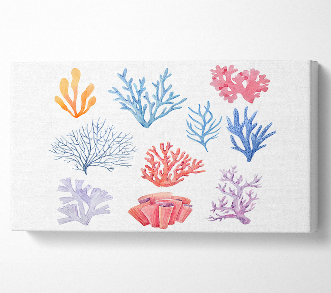 A Canvas Print of Sea Life Coral Canvas Art