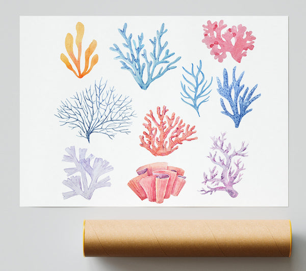 Sea Life Coral Print