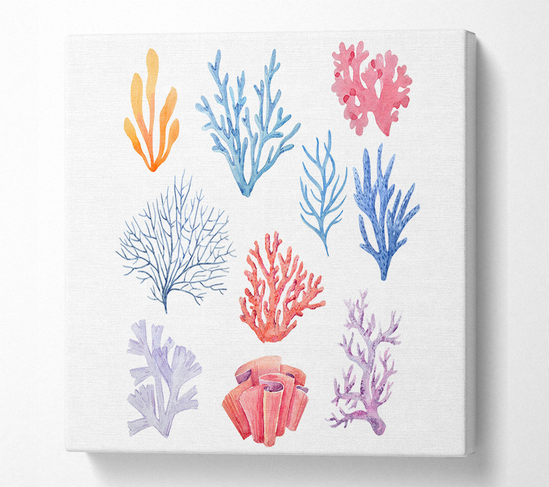  A Canvas Print of Sea Life Coral Canvas Art