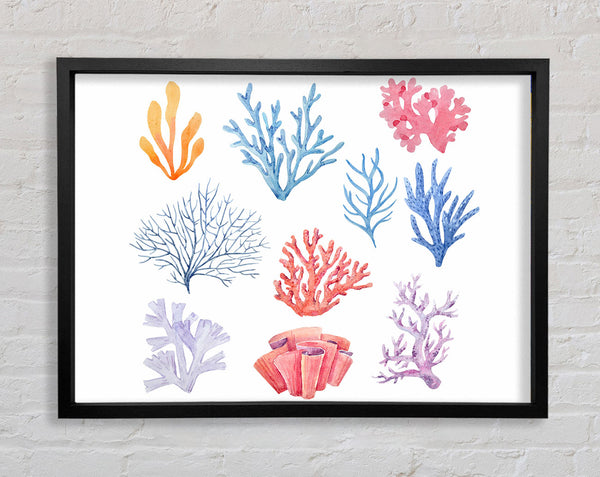 Sea Life Coral Framed Print