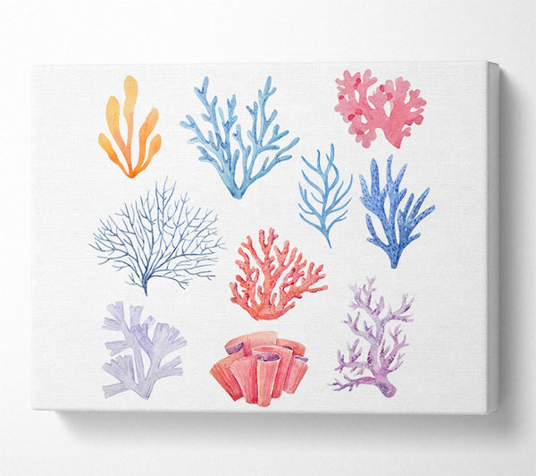  A Canvas Print of Sea Life Coral Canvas Art