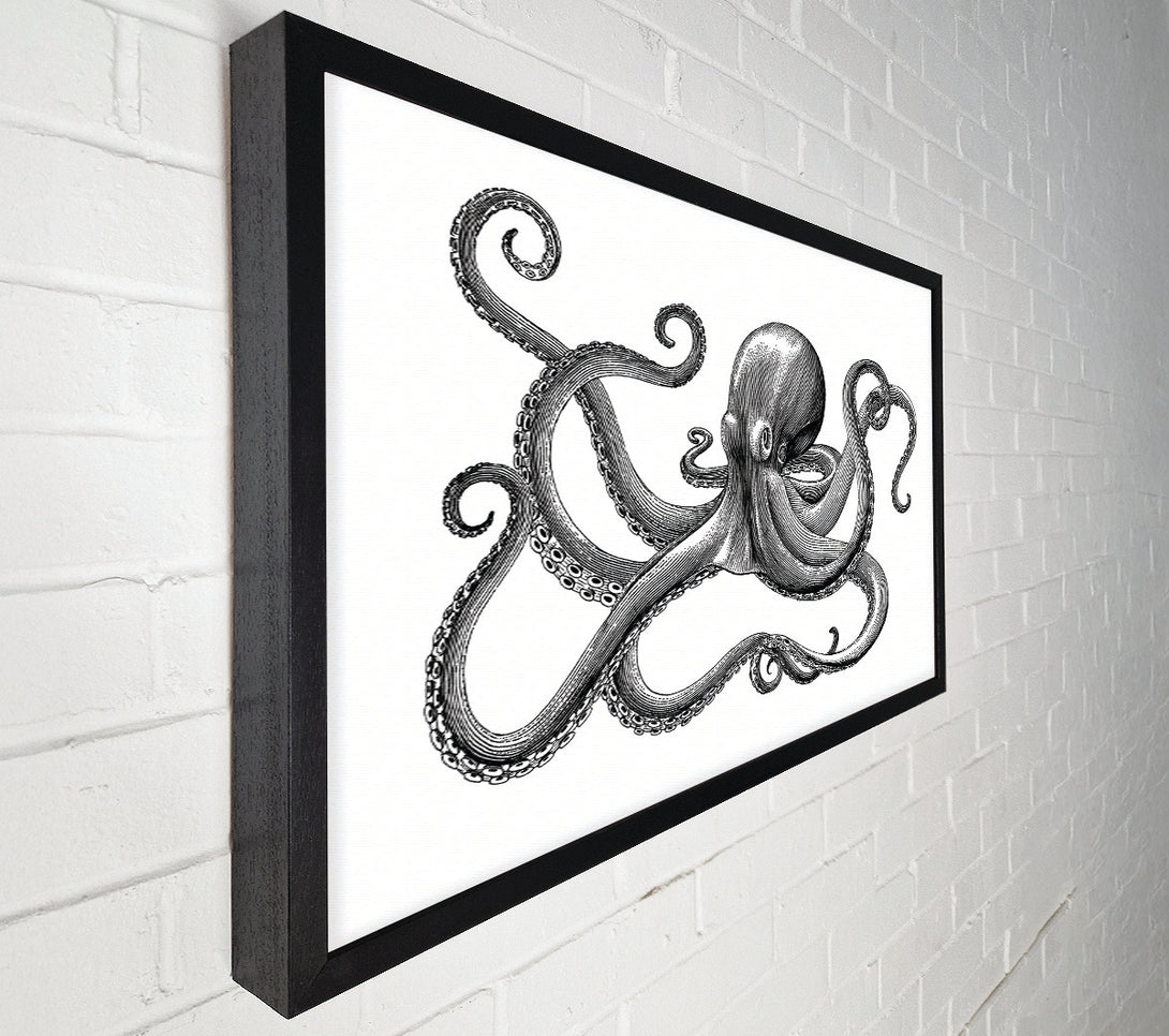  A Canvas Print of Octopus Illustration Canvas Print