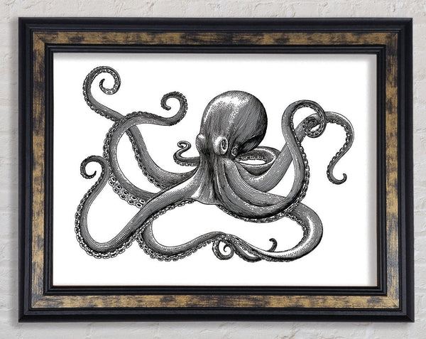 Octopus Illustration Framed Print