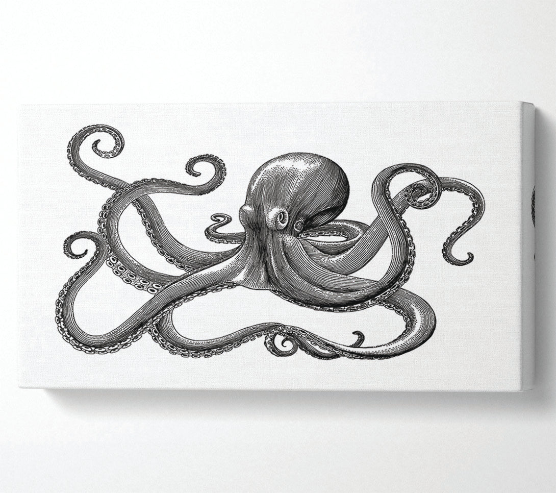  A Canvas Print of Octopus Illustration Canvas Print