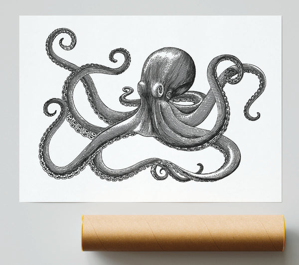 Octopus Illustration Poster
