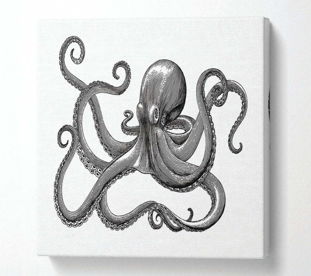  A Canvas Print of Octopus Illustration Canvas Print