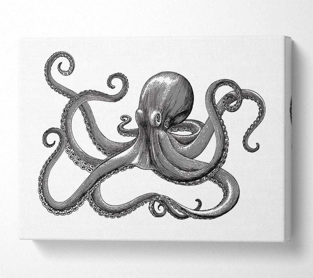  A Canvas Print of Octopus Illustration Canvas Print