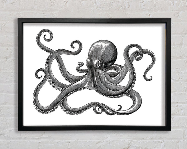 Octopus Illustration Framed Print