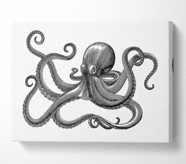  A Canvas Print of Octopus Illustration Canvas Print
