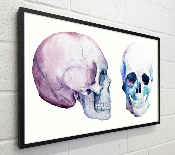 Two Skulls Meet
