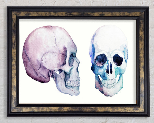 Two Skulls Meet Framed Print